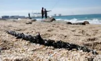 Israel Finds Ship Behind Oil Spill Off Its Coast, Ministry Says