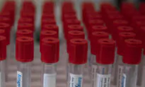 Australian State and South Korea to Work on the Development of the Global RNA Ecosystem