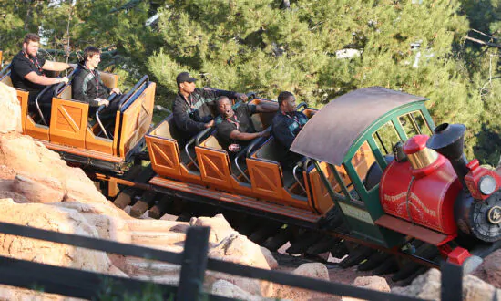 Is a Trip to Disney Too Expensive or Complicated? Check out These 8 Alternatives