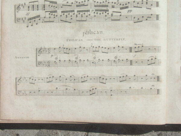 Early Irish Harp