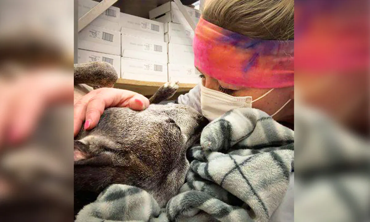 (Courtesy of Mackenzie's Animal Sanctuary)