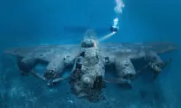 Diver Captures Stunning Photos of WWII ‘Flying Fortress’ Wreck on the Ocean Floor off Coast of Croatia