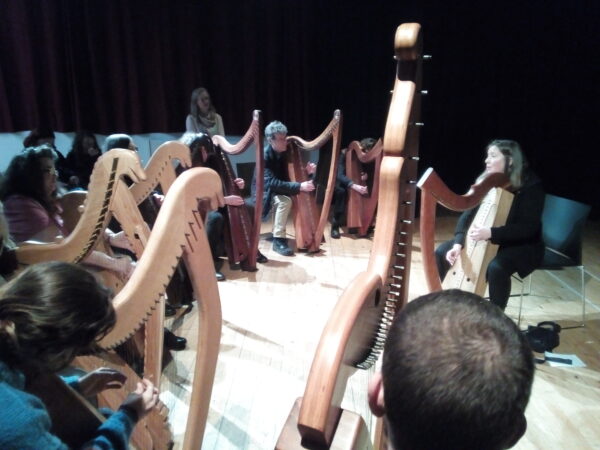 Early Irish Harp