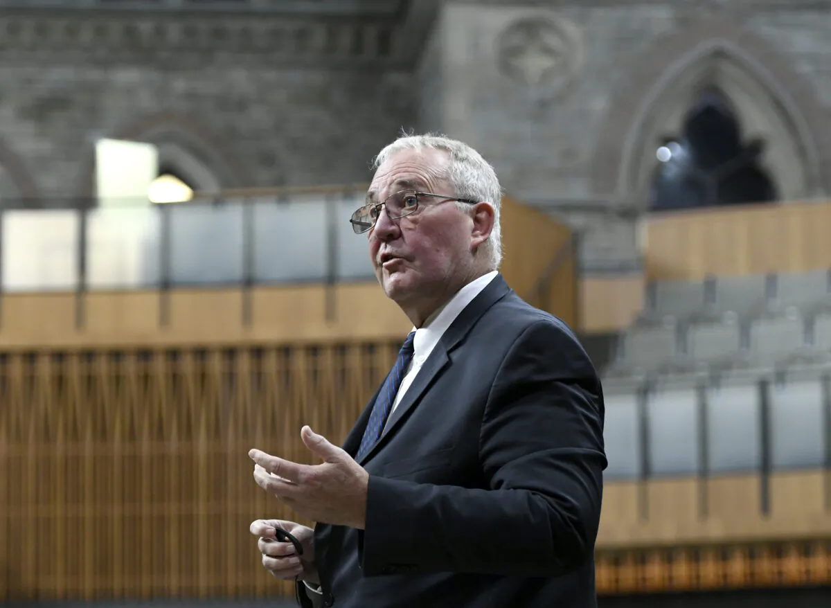 Minister of Public Safety and Emergency Preparedness Bill Blair rises during Question Period in the House of Commons on Parliament Hill in Ottawa on Nov. 27, 2020. (The Canadian Press/Justin Tang)