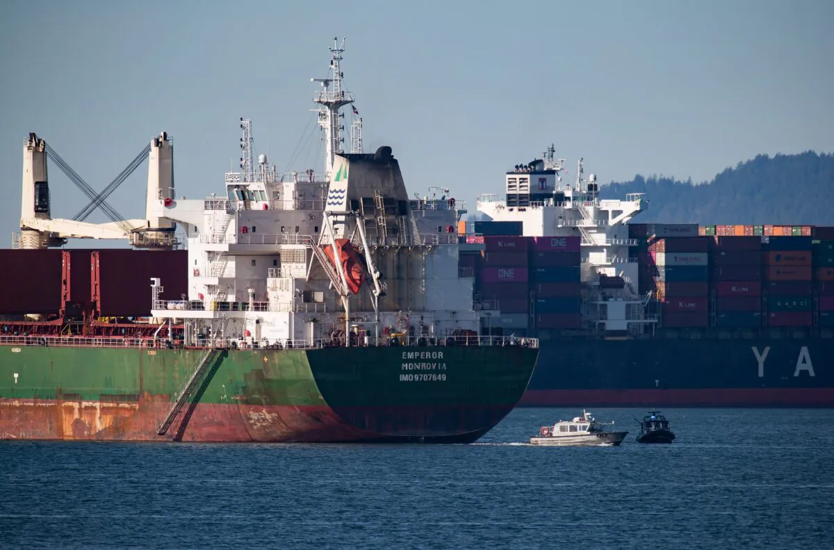 Cargo ships sit at anchor in English Bay, Vancouver, on Feb. 20, 2020, waiting to load or unload at the Port of Vancouver. (The Canadian Press/Darryl Dyck)