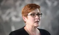 Domestic Violence Commissions Proposals by the Government and Labor