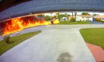 Boy and 2 Adults Dead After Small Plane Crashes Into SUV in Florida