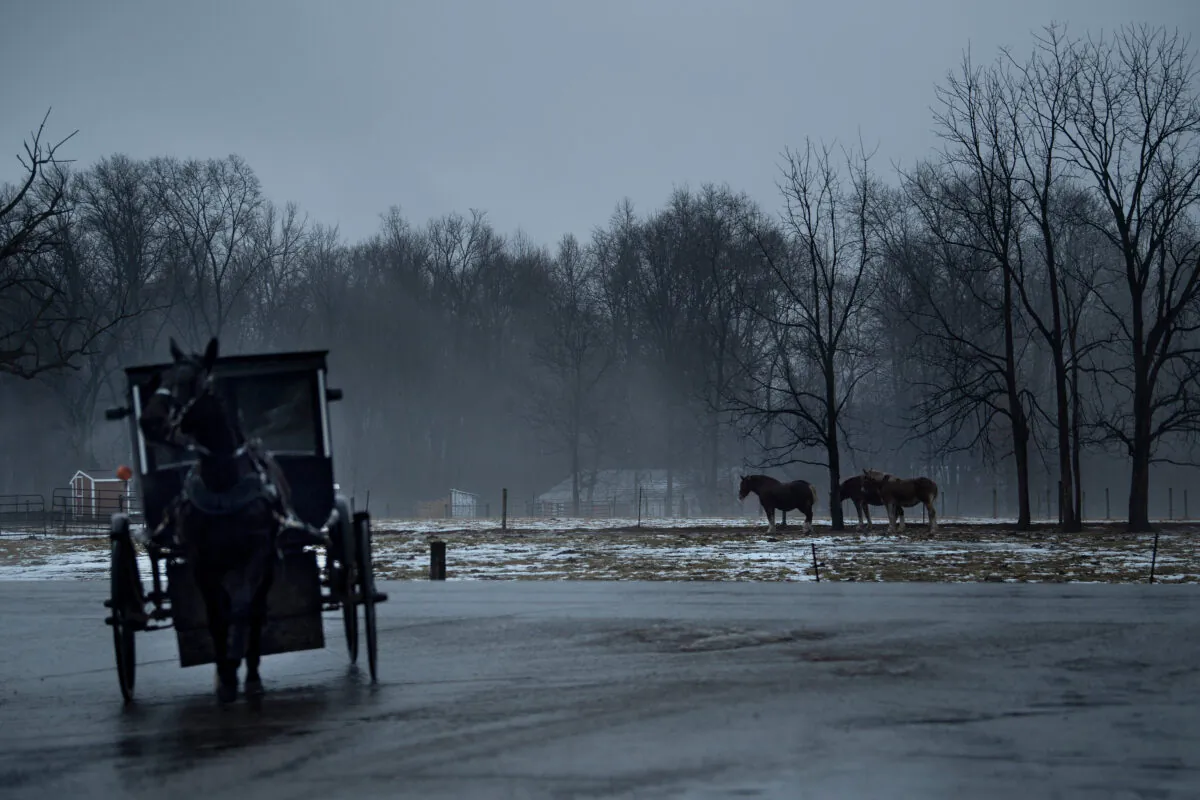 An Amish buggy passes horses in Shipshewana, Ind., on Jan. 24, 2020. (Brendan Smialowski /AFP via Getty Images)