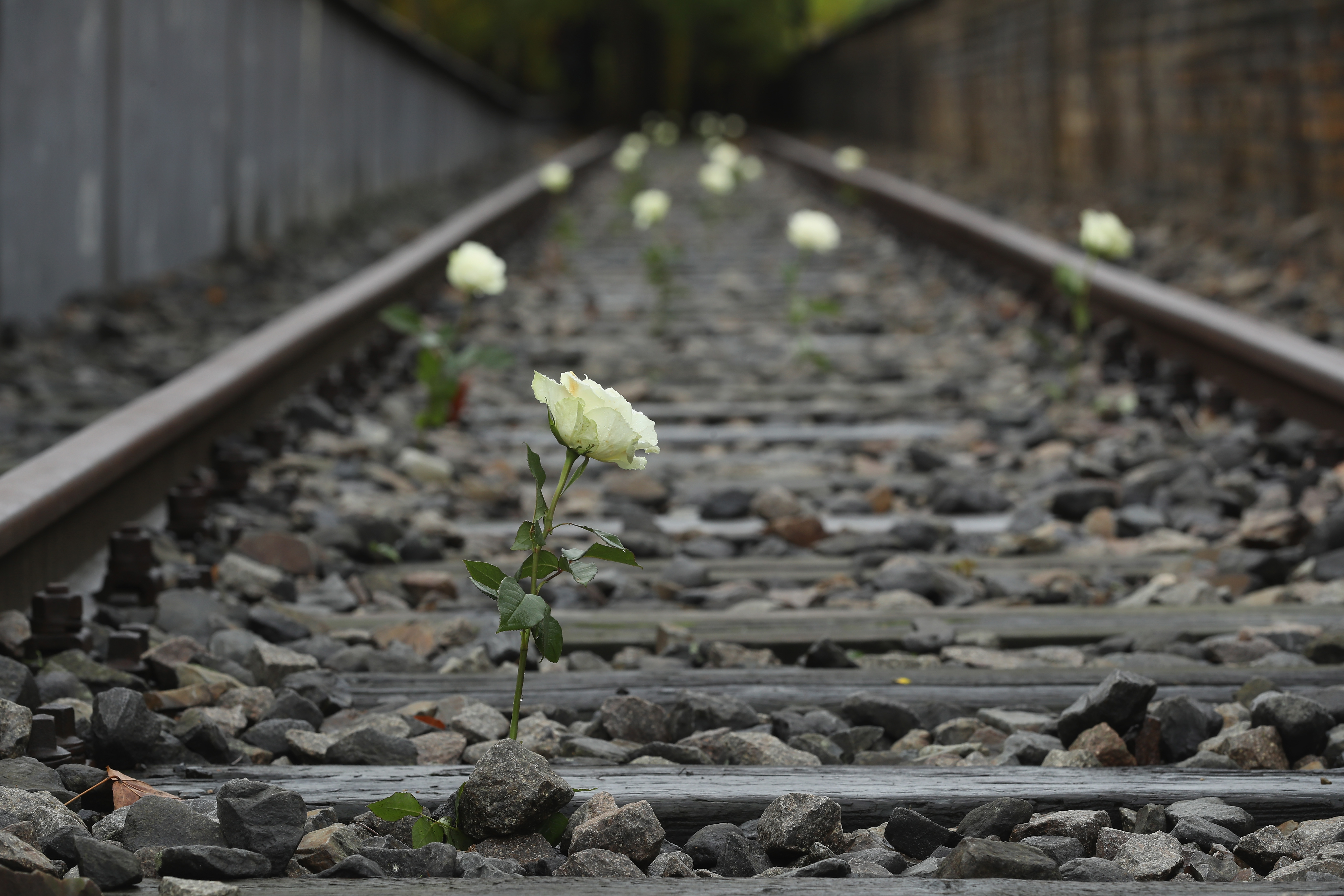 Holocaust Awareness Leads People to Be More Compassionate to Religious and Cultural Minorities - Vimarsana News