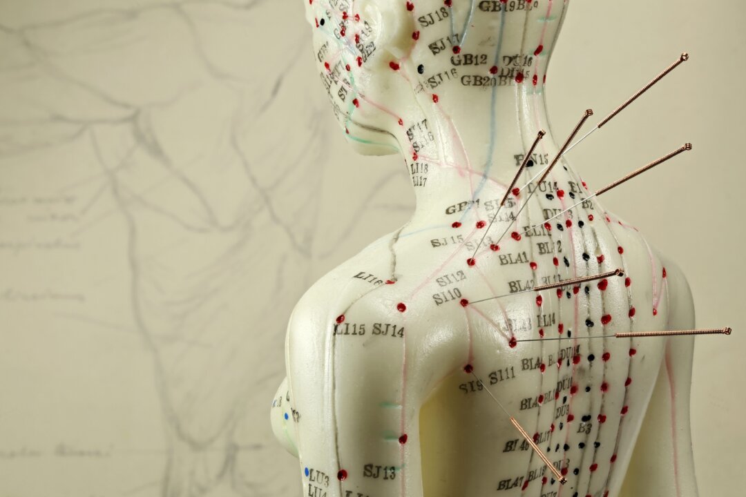 Just as traditional
Chinese medicine
emphasizes the
underlying energetic
systems in the body,
it also attunes to the
energetic nature of
the seasons. (Bjoern Wylezich/Shutterstock)