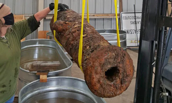 Artifacts, Cannons Dredged Up From Savannah River May Predate Civil War