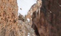 Can You Spot the Expertly-Camouflaged Snow Leopard in This Photo of a ‘Barren’ Cliff Face?