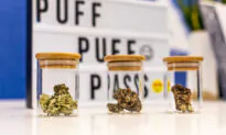 Costa Mesa Opens its Doors to Legal Dispensaries