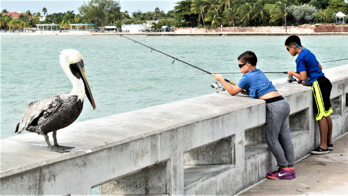 Boys fish off a bridge in the Florida Keys. (Courtesy of TasFoto/Dreamstime.com)