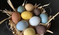 How to Dye Easter Eggs, Naturally