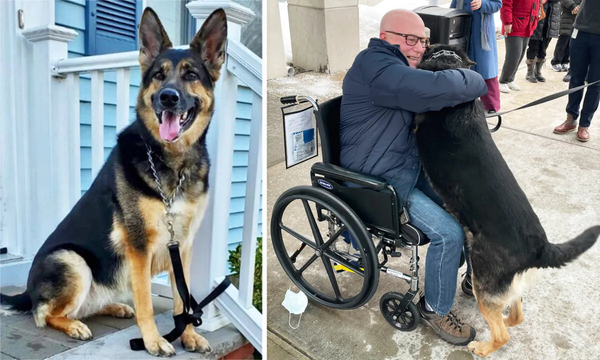 (Courtesy of Ramapo-Bergen Animal Refuge)