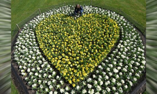 One Year on From First Lockdown, Britain Grieves for COVID-19 Dead