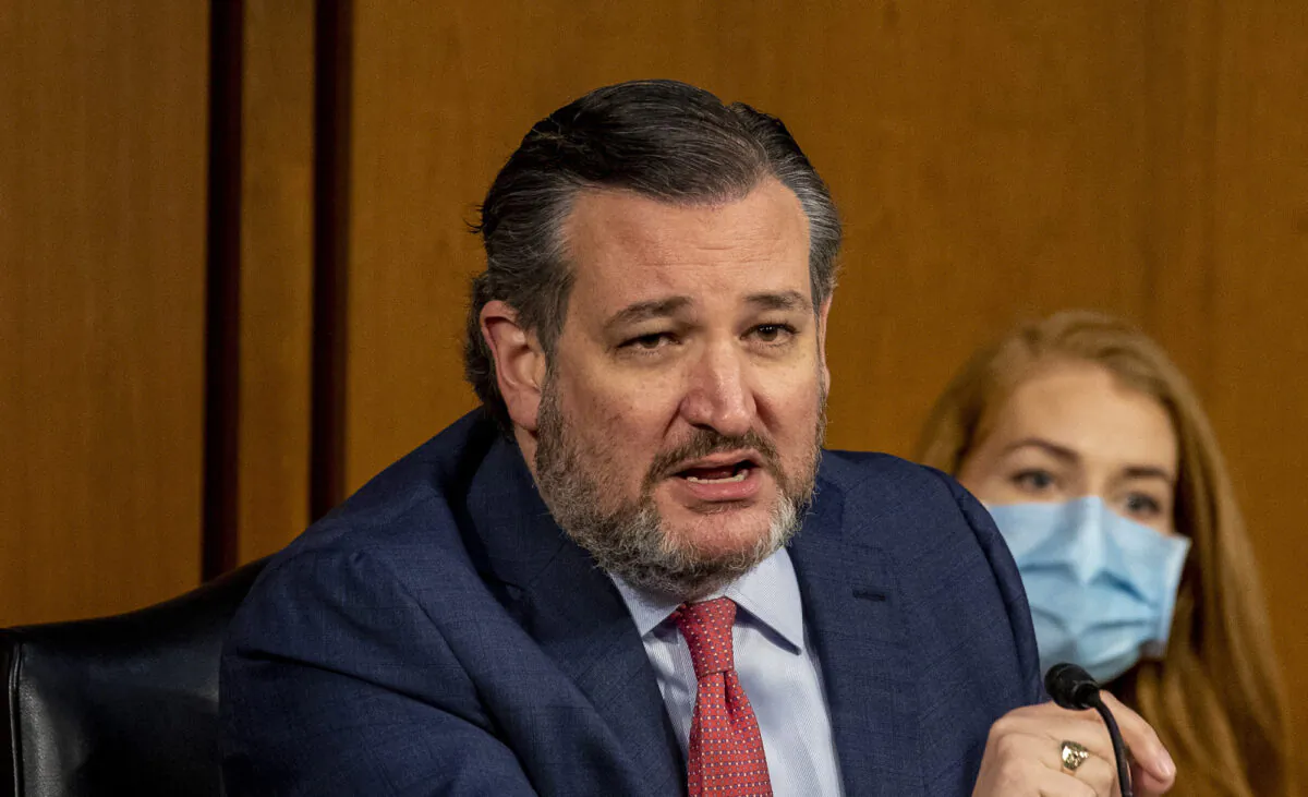 Sen. Ted Cruz (R-Texas) speaks at a Senate Judiciary Committee hearing on "Constitutional and Common Sense Steps to Reduce Gun Violence" on March 23, 2021. (Tasos Katopodis/Getty Images)