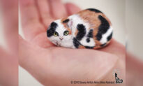 Japanese Artist Turns Pebbles Into Adorable Critters You Can Hold in the Palm of Your Hand