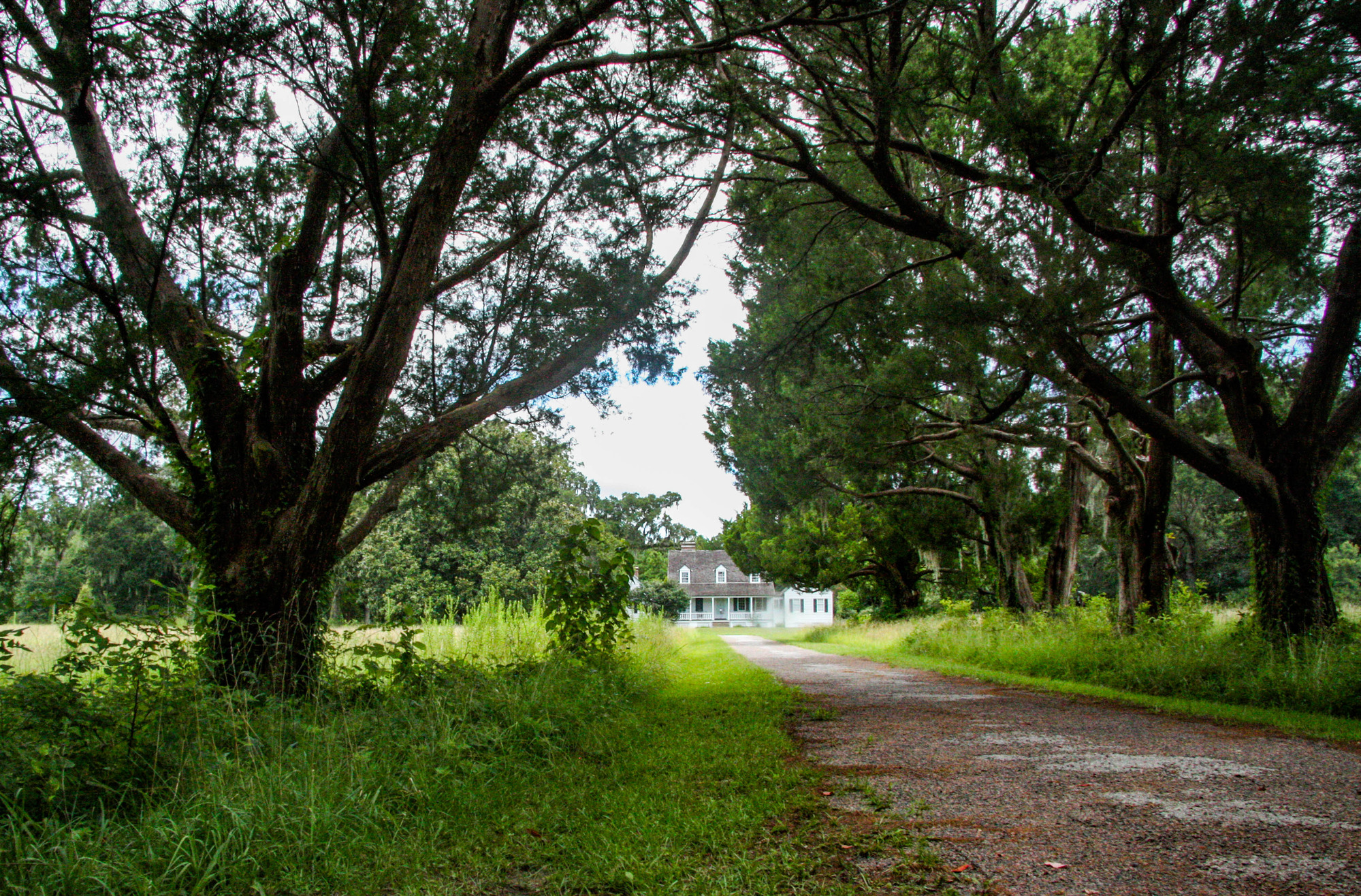 Charles Pinckney National Historic Site