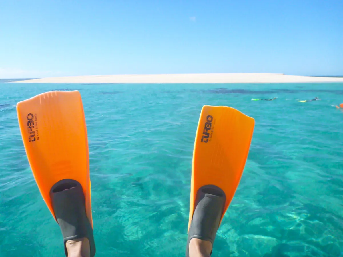 An ecotourism tour of the Great Barrier Reef, Australia, on July 13, 2021. (Melanie Sun/The Epoch Times)