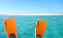 Spending Hundreds of Millions to Make a 0.1 Percent Difference to the Great Barrier Reef