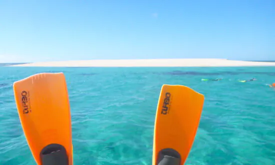 Spending Hundreds of Millions to Make a 0.1 Percent Difference to the Great Barrier Reef