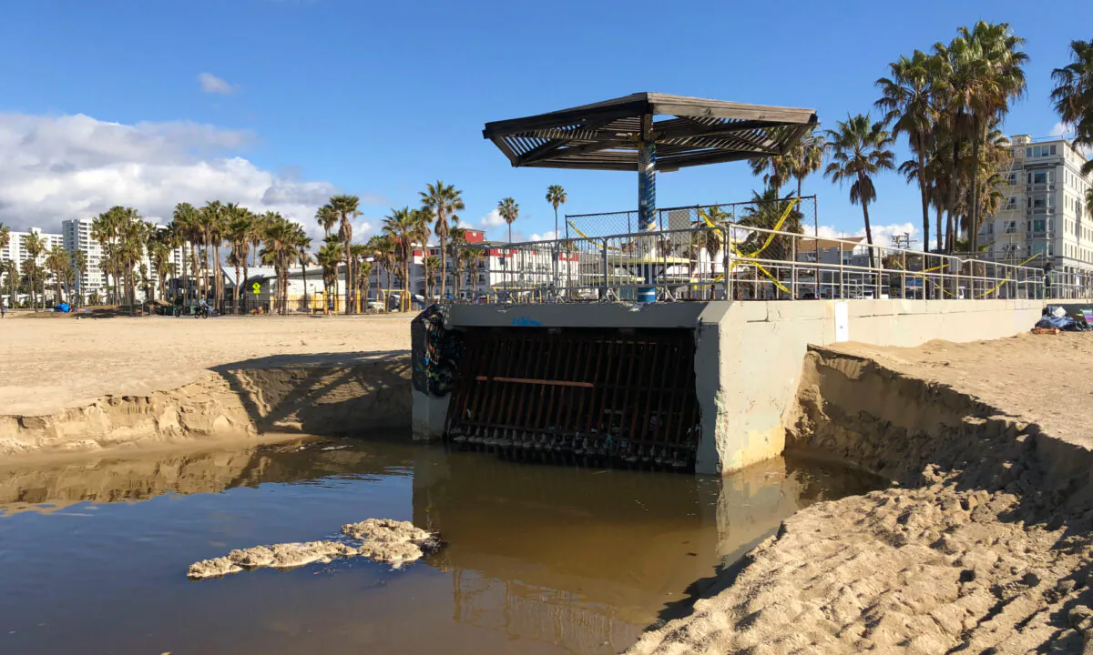 The Rose Avenue storm drain spills polluted runoff onto Venice Beach in Los Angeles on March 11, 2021. (Courtesy of Ursua Soledad)