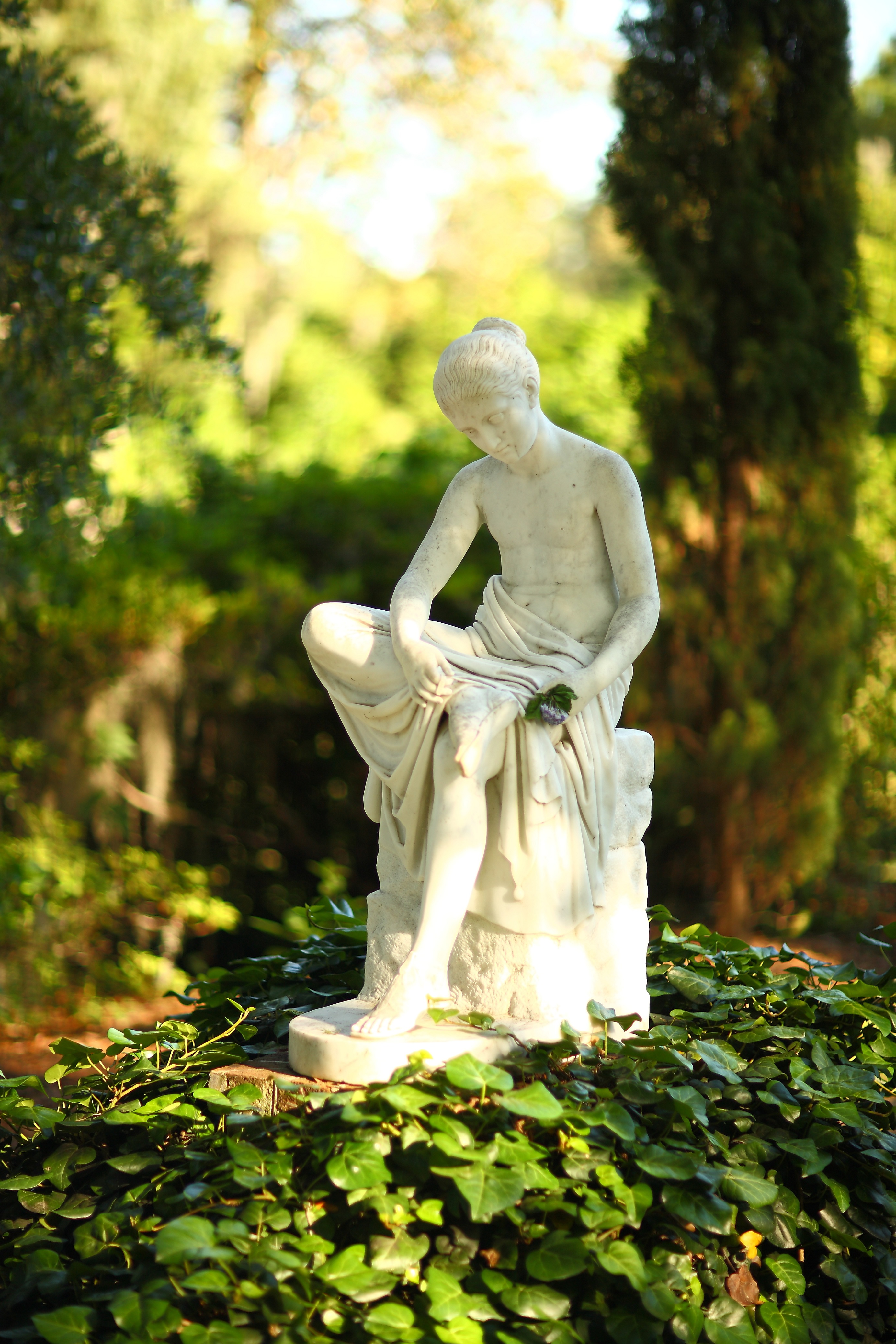 Middleton Place-Wood Nymph