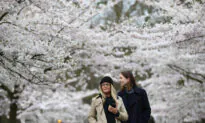 England Lockdown Eased to Allow Outdoor Meet-Ups