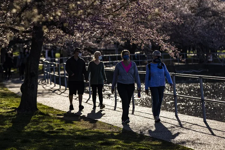 People walk among blooming cherry trees along the Tidal Basin in Washington, on March 27, 2021. (Samuel Corum/Getty Images)