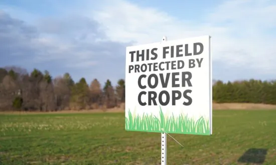 Farmers Need an ROI for Precision-Ag Adoption to Grow