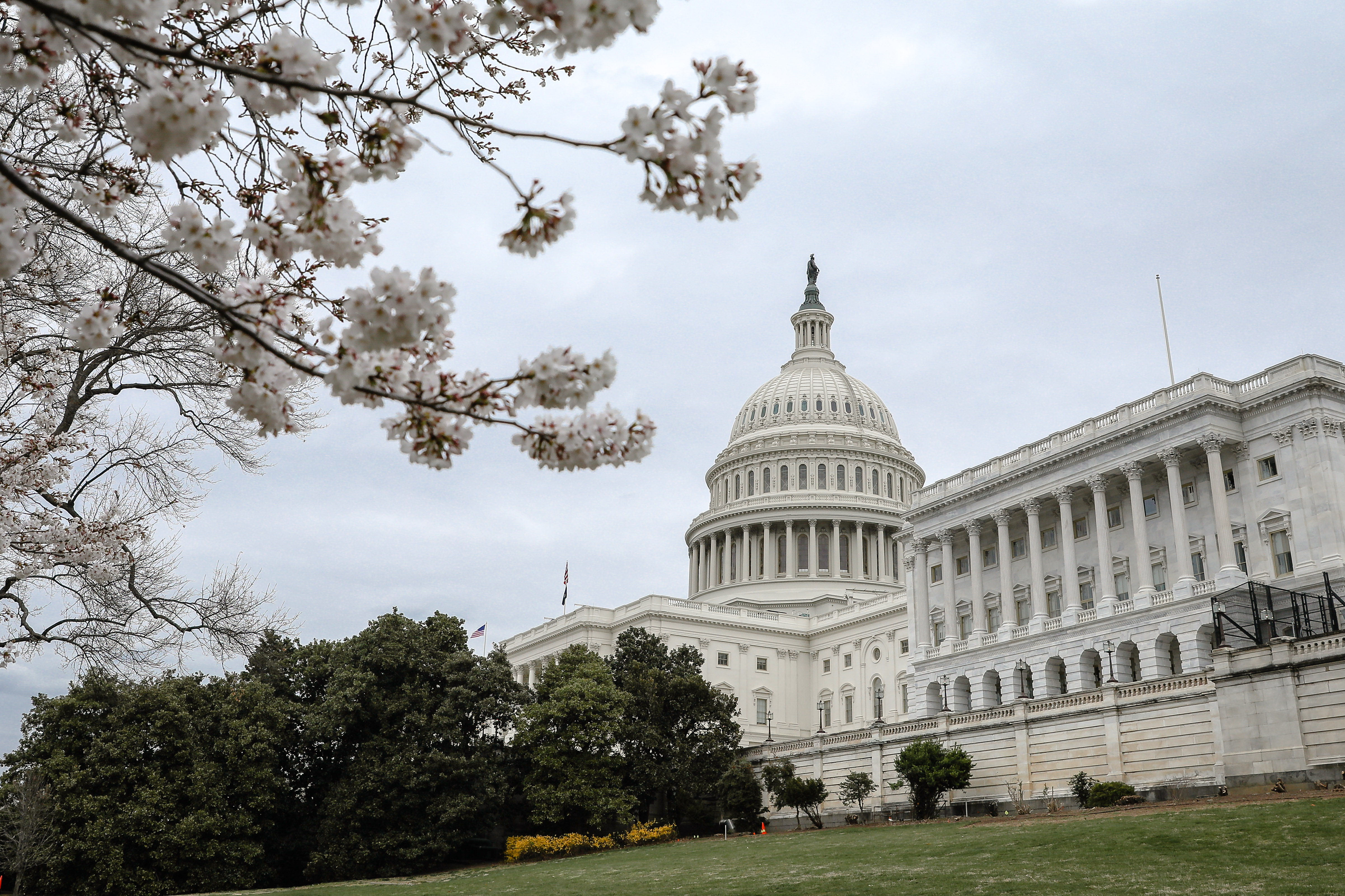 22 State Republican AGs Oppose 'Unconstitutional' DC Statehood Bill - Vimarsana News