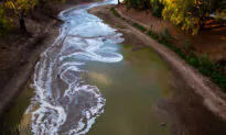 ACCC Calls for Comprehensive Overhaul of Murray-Darling Water Markets