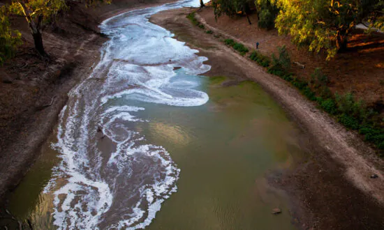 ACCC Calls for Comprehensive Overhaul of Murray-Darling Water Markets