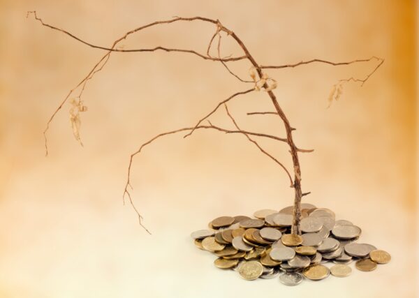 money tree