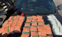 Traffic Stop Leads to Large-Scale Drug Bust in Irvine