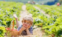 Why It’s Important to Stay Calm During Summer’s Heat