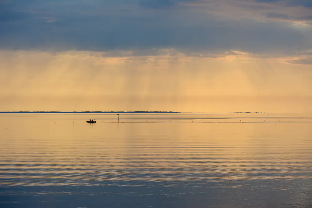 (Realest Nature/Shutterstock)