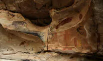 Ancient Bone Tools in WA Dated to Be Over 35,000 Years Old