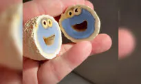 Geologist Finds Blue Quartz Volcanic Rock With Cross-Section That Looks Like Cookie Monster Inside