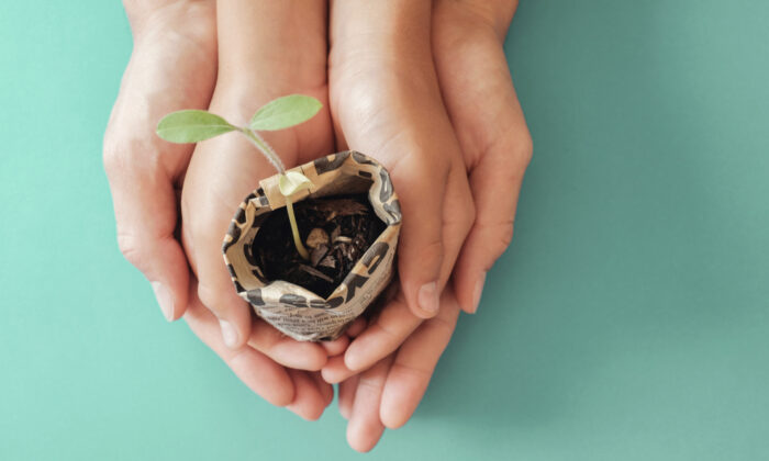 Growing Gardeners: DIY Newspaper Pots for Starting Seeds Indoors