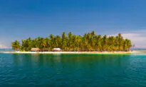 Panama: A Haven for Nature Lovers