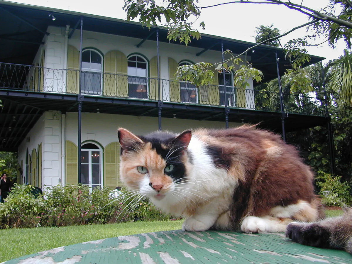 Ernest Hemingway's house in Key West is one of the most-visited spots in the city. (Courtesy of Victor Block)