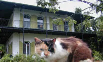Funk, Frivolity, and Florida History in Key West