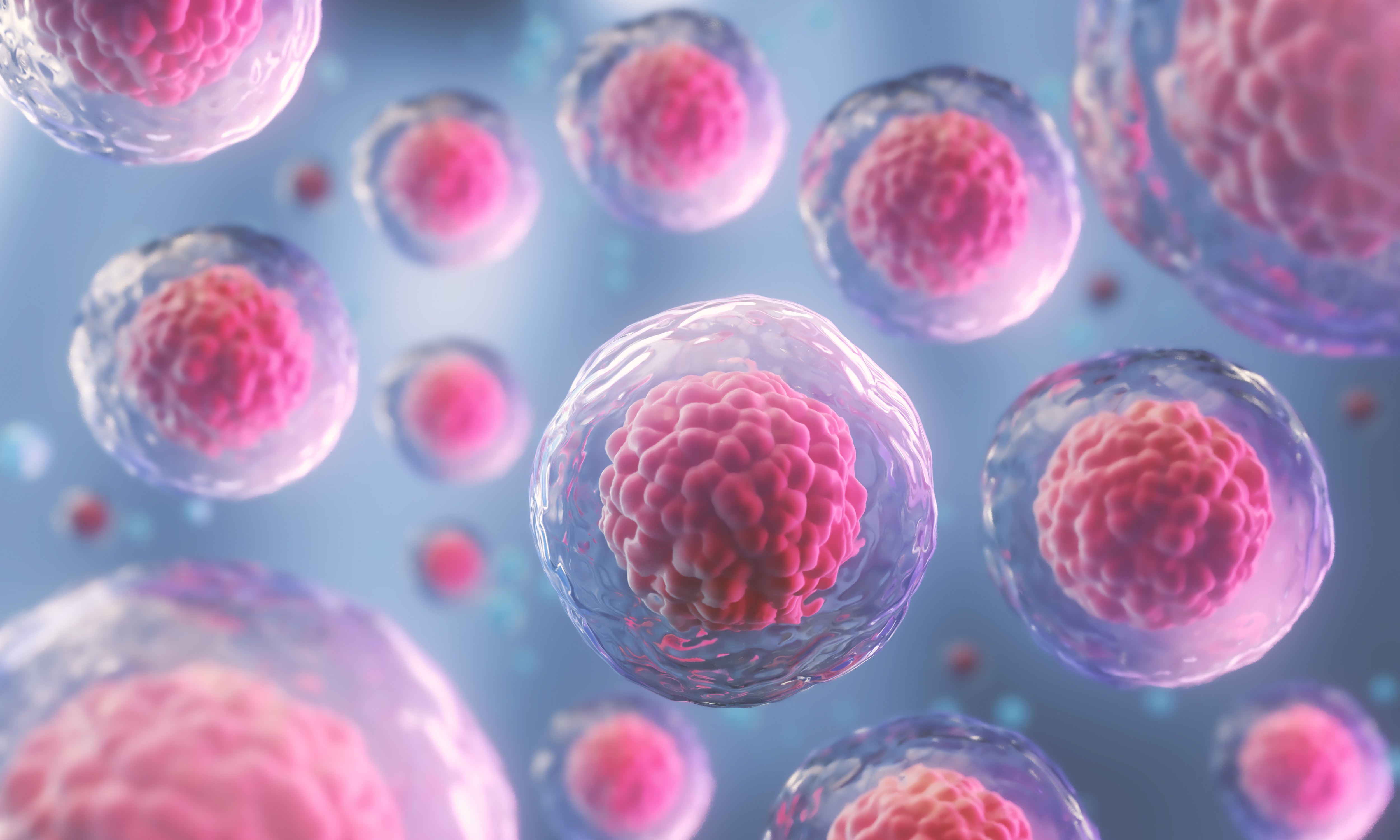 Autophagy Heals Damage from Spike Protein, Doctor Says - Vimarsana News