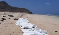 At Least 34 Migrants Dead as Boat Capsizes Off Djibouti, IOM Says