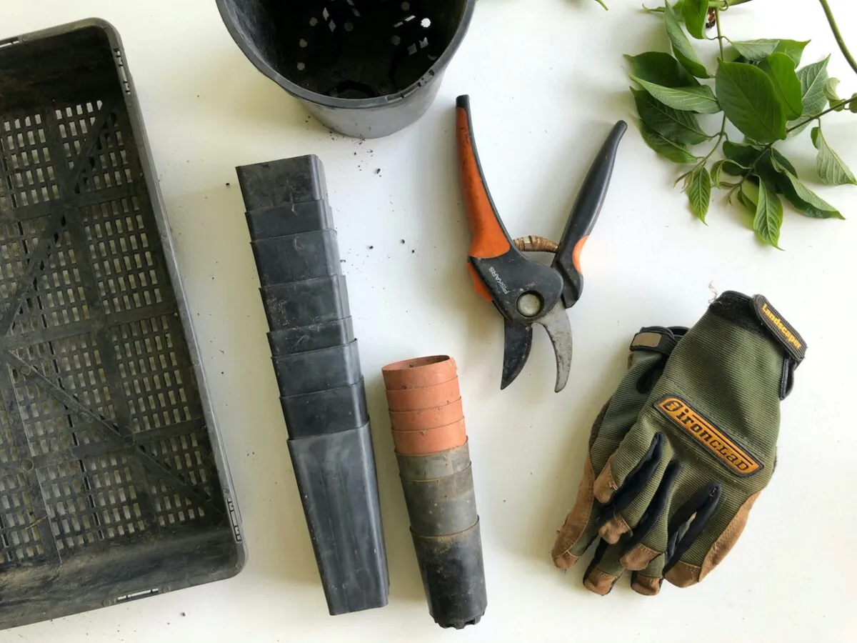 Gloves are a necessity, to protect your hands while gardening, esp when pruning with shears. (ecowarriorprincess/Unsplash)