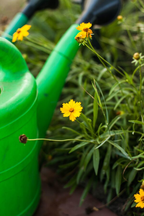 Epoch Times Photo