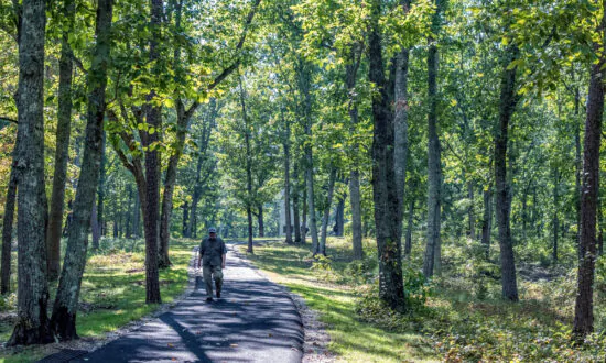 Revisiting History at Kings Mountain National Military Park